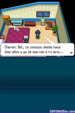 Image n° 3 - screenshots : Pokemon - Edicion Negra (DSi Enhanced)